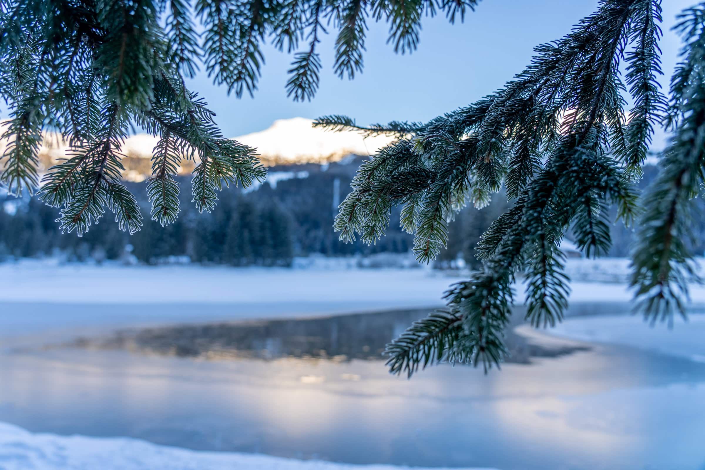 Chalet Valbella, Umgebung Heidsee